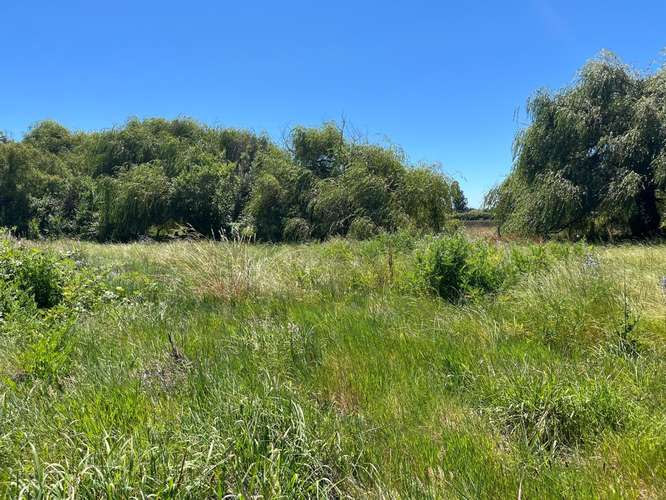 PARCELAS AGRICOLAS A 9.5 KM DE LOS ÁNGELES - Imagen 14