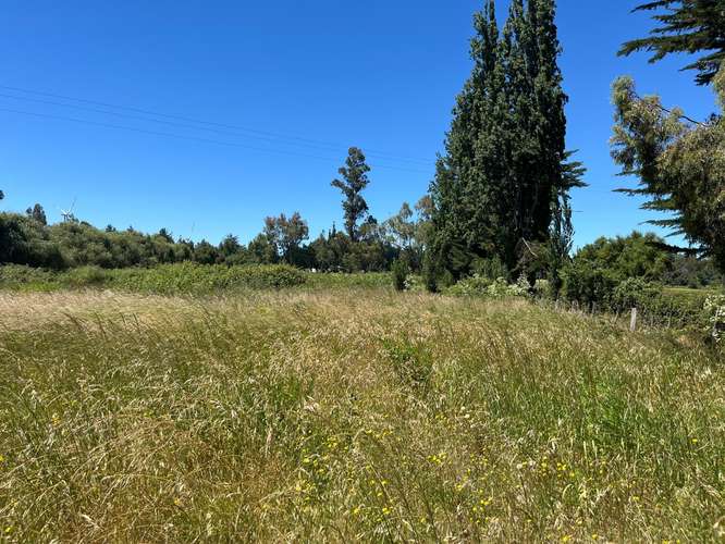 PARCELAS AGRICOLAS A 9.5 KM DE LOS ÁNGELES - Imagen 17