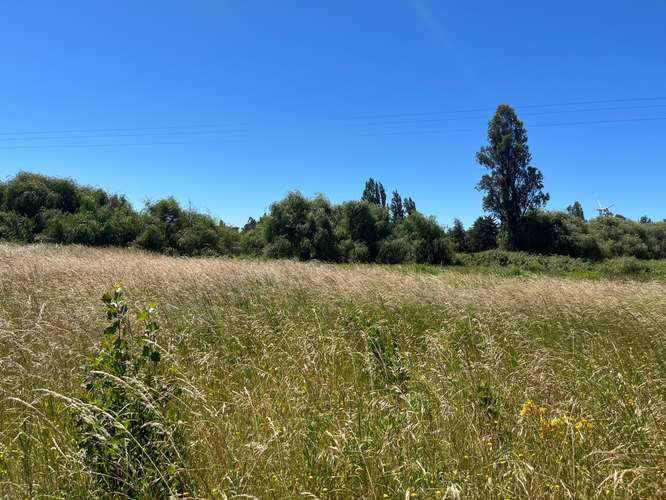 PARCELAS AGRICOLAS A 9.5 KM DE LOS ÁNGELES - Imagen 16