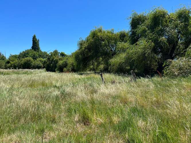 PARCELAS AGRICOLAS A 9.5 KM DE LOS ÁNGELES - Imagen 7