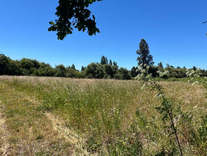 PARCELAS AGRICOLAS A 9.5 KM DE LOS ÁNGELES - Imagen 18