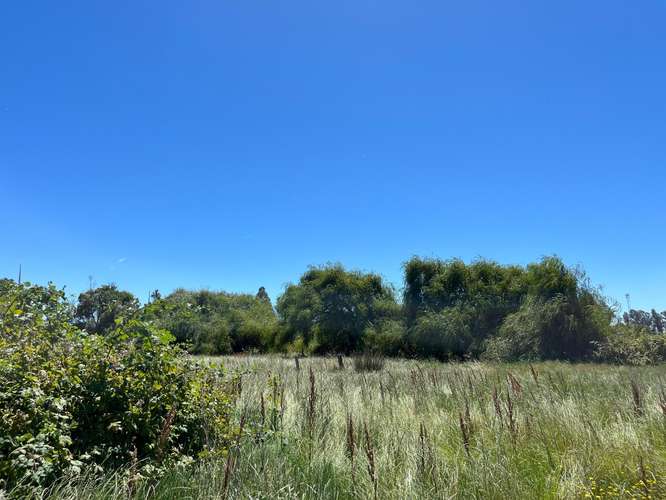PARCELAS AGRICOLAS A 9.5 KM DE LOS ÁNGELES - Imagen 3