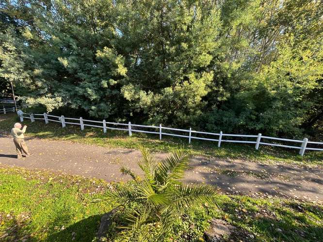 VENTA DE COMPLEJO DE CABAÑAS CON PISCINA Y CERVECERÍA ARTESANAL PRECORDILLERA STA BARBARA