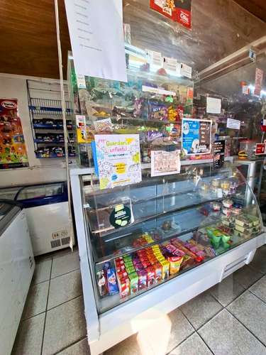 LOCAL COMERCIAL Y CASA VENDO EN CERRILLOS - Imagen 18