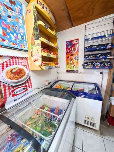 LOCAL COMERCIAL Y CASA VENDO EN CERRILLOS - Imagen 16