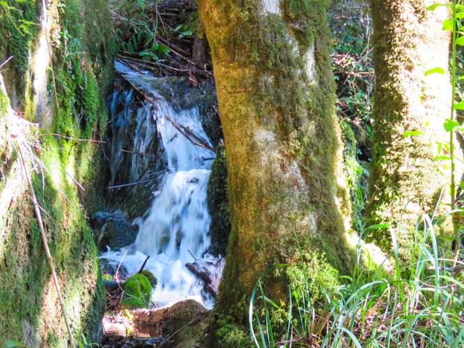 EXCLUSIVIDAD! TU PROPIA ORILLA DE LAGO EN EL CABURGUA