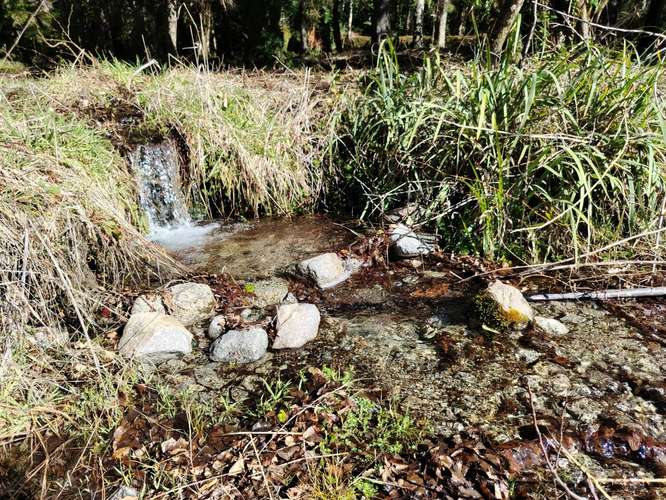 EXCLUSIVIDAD! TU PROPIA ORILLA DE LAGO EN EL CABURGUA