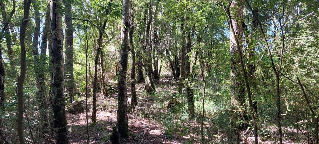 EXCLUSIVIDAD! TU PROPIA ORILLA DE LAGO EN EL CABURGUA