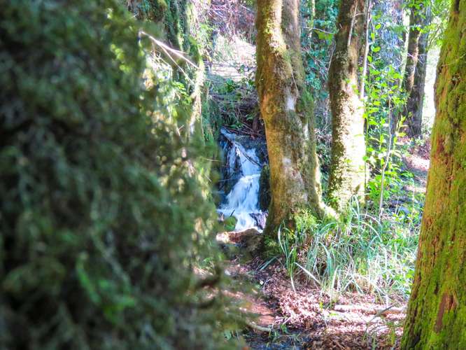 EXCLUSIVIDAD! TU PROPIA ORILLA DE LAGO EN EL CABURGUA