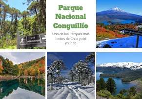 PARAÍSO LLAIMA, TU REFUGIO NATURAL EN CONGUILLÍO