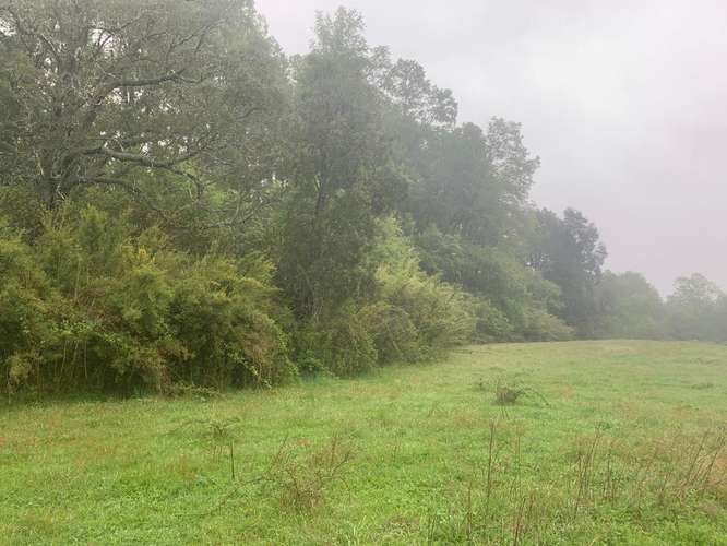PARAÍSO LLAIMA, TU REFUGIO NATURAL EN CONGUILLÍO
