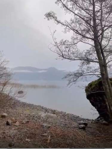 SE VENDE ESTUPENDA PARCELA CON PLAYA EN EL LAGO COLICO