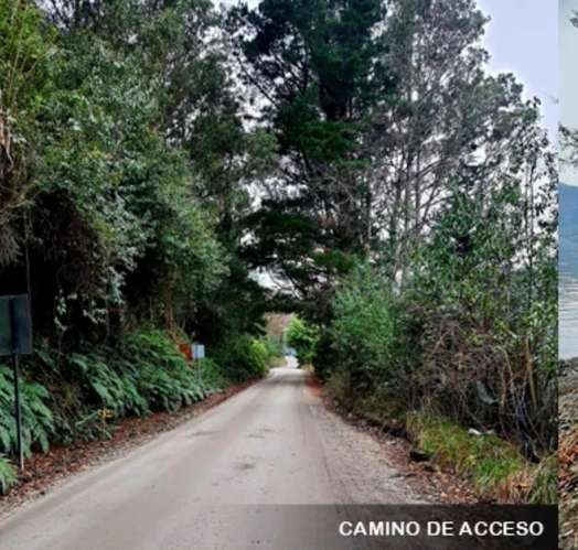 SE VENDE ESTUPENDA PARCELA CON PLAYA EN EL LAGO COLICO