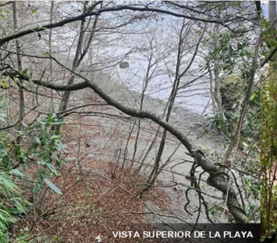 SE VENDE ESTUPENDA PARCELA CON PLAYA EN EL LAGO COLICO