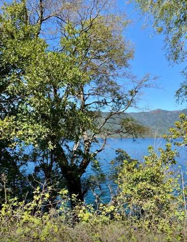 SE VENDE ESTUPENDA PARCELA CON PLAYA EN EL LAGO COLICO