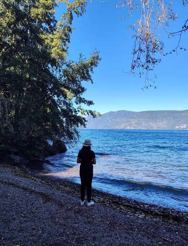 SE VENDE ESTUPENDA PARCELA CON PLAYA EN EL LAGO COLICO