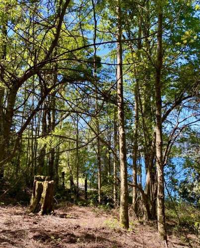 SE VENDE ESTUPENDA PARCELA CON PLAYA EN EL LAGO COLICO