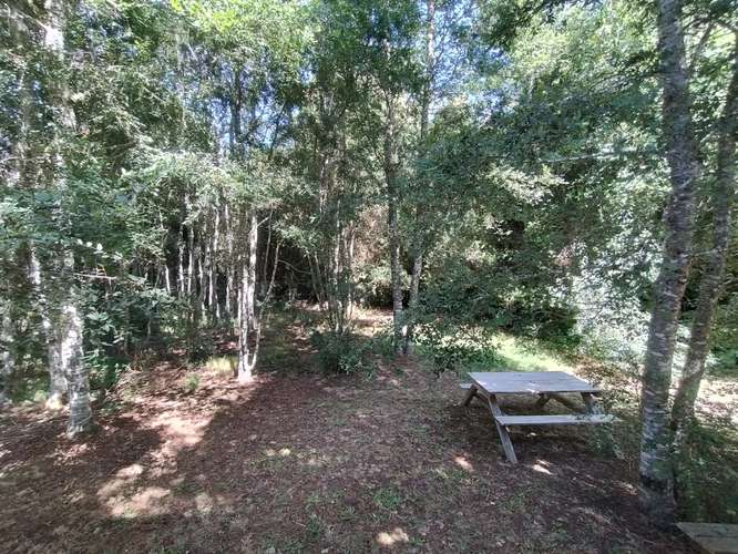 EXCLUSIVA CASA 4D CON PISCINA, BOSQUE Y CASA DE INVITADOS