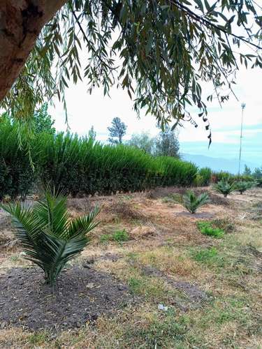 Excelente terreno 3600 m2 Coltauco (186575)