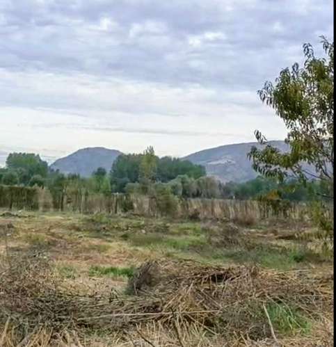 Excelente terreno 3600 m2 Coltauco (186575)