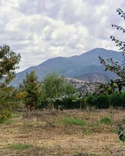 Excelente terreno 3600 m2 Coltauco (186575)