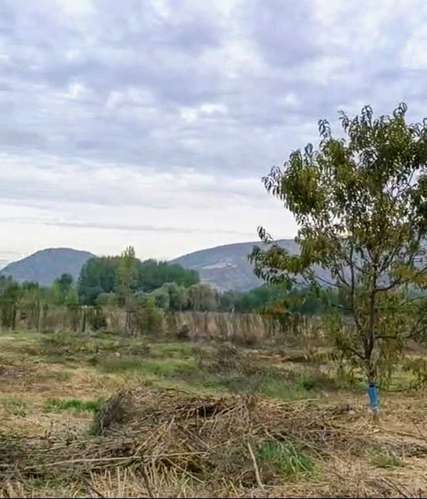 Excelente terreno 3600 m2 Coltauco (186575)