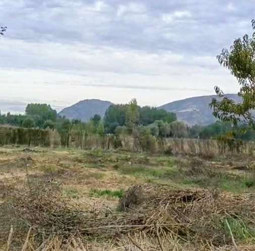 Excelente terreno 3600 m2 Coltauco (186575)