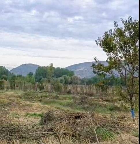 Excelente terreno 3600 m2 Coltauco (186575)