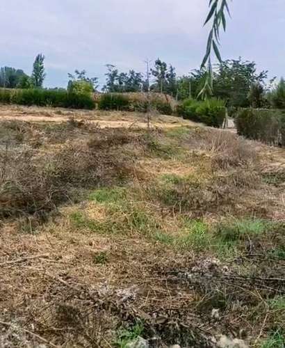 Excelente terreno 3600 m2 Coltauco (186575)