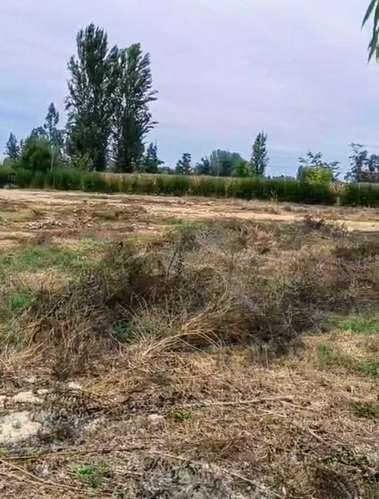 Excelente terreno 3600 m2 Coltauco (186575)