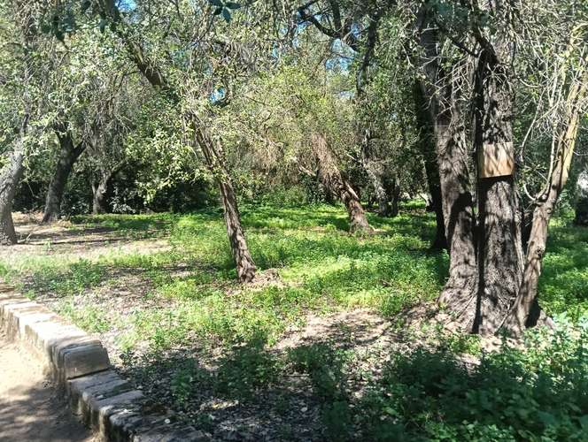 VENDE CASABLANCA-TRANQUE LO OVALLE GRAN CASA CON PARQUE