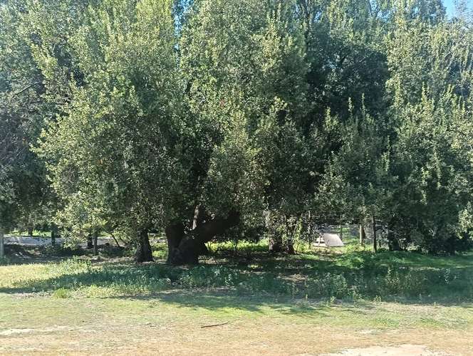 VENDE CASABLANCA-TRANQUE LO OVALLE GRAN CASA CON PARQUE