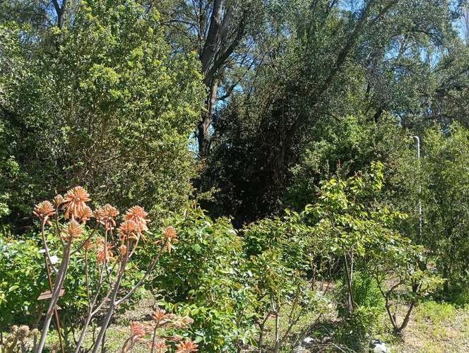 VENDE CASABLANCA-TRANQUE LO OVALLE GRAN CASA CON PARQUE