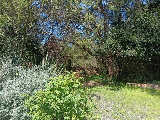 VENDE CASABLANCA-TRANQUE LO OVALLE GRAN CASA CON PARQUE