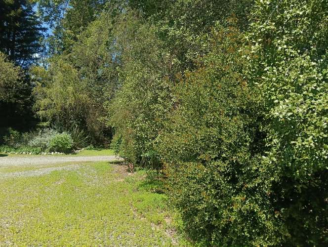 VENDE CASABLANCA-TRANQUE LO OVALLE GRAN CASA CON PARQUE