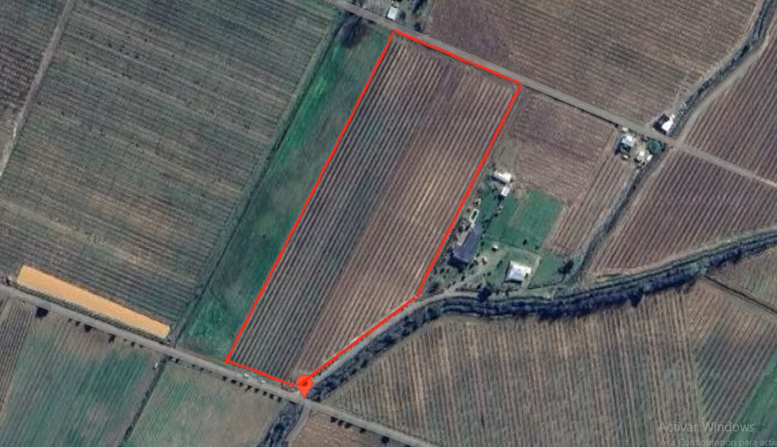 PARCELA AGRÍCOLA CON CEREZOS EN PRODUCCIÓN EN LOS NICHES, CURICÓ