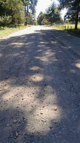 Parcela en Venta en Los Muermos - Imagen 2