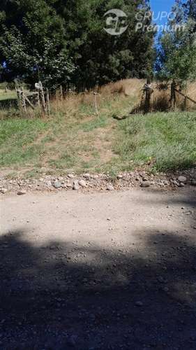 Parcela en Venta en Los Muermos - Imagen 4