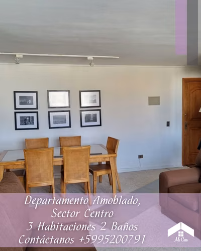 DEPARTAMENTO AMOBLADO EN ARRIENDO SECTOR CENTRO