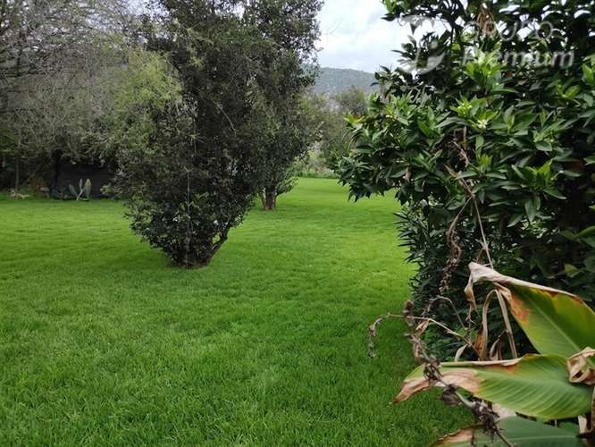 Casa en venta de 6 dorm. en Olmué - Imagen 18