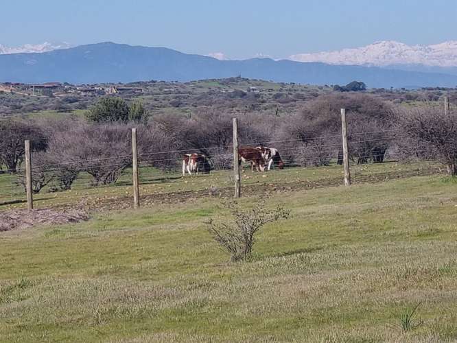 "OPORTUNIDAD" Parcela con agua en Fundo El Molino, Marchigue