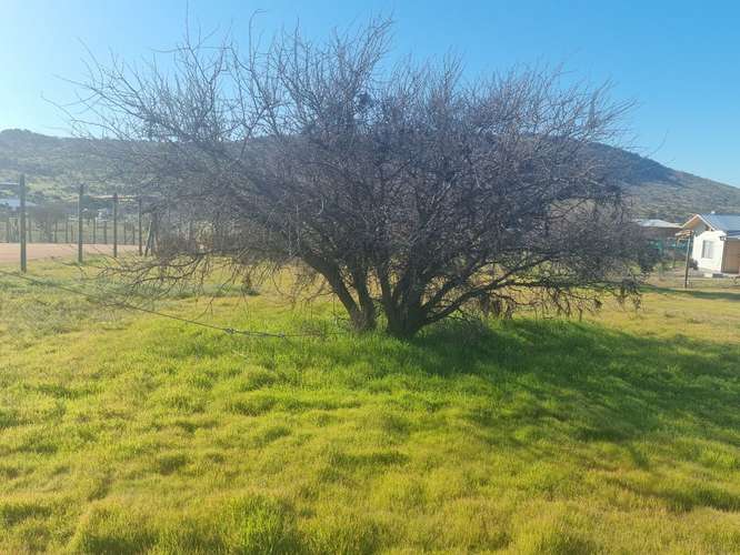"OPORTUNIDAD" Parcela con agua en Fundo El Molino, Marchigue