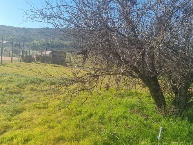 "OPORTUNIDAD" Parcela con agua en Fundo El Molino, Marchigue