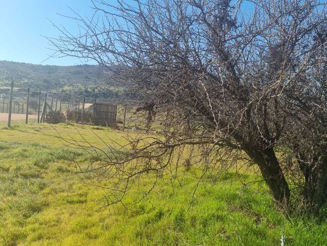 "OPORTUNIDAD" Parcela con agua en Fundo El Molino, Marchigue