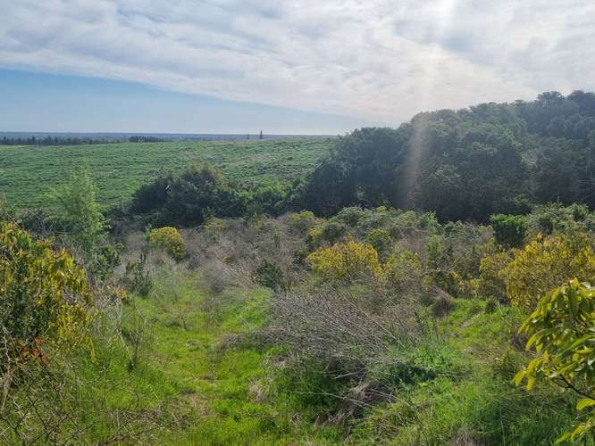HERMOSA PARCELA CON AGUA, LUZ Y GAS - Imagen 8