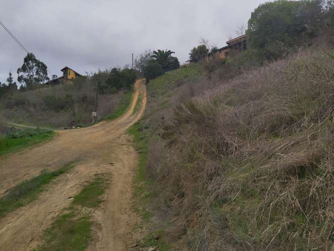 Vendo parcela de 5.000 mtrs2 con casa en Lo Abarca - Imagen 2