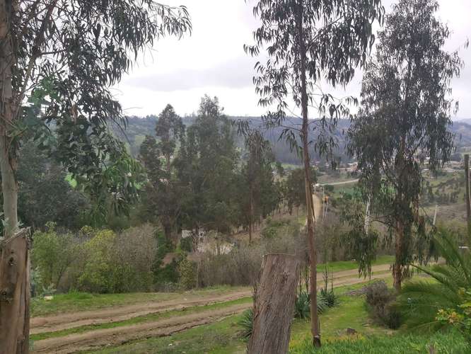 Vendo parcela de 5.000 mtrs2 con casa en Lo Abarca - Imagen 16