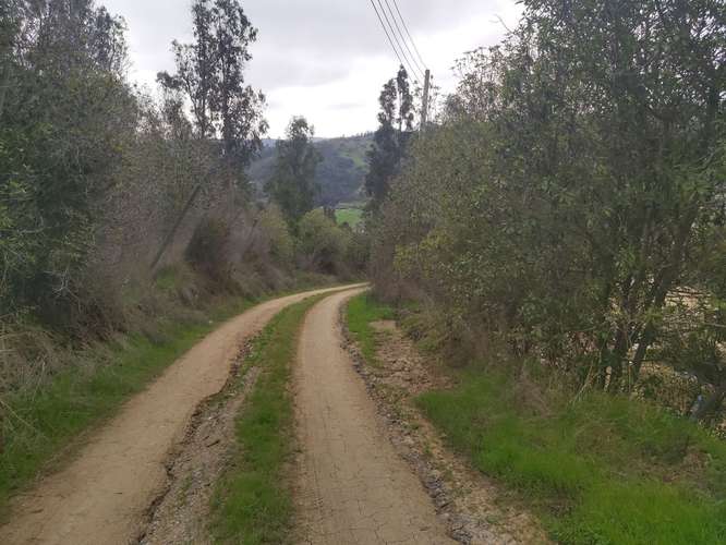 Vendo parcela de 5.000 mtrs2 con casa en Lo Abarca - Imagen 27