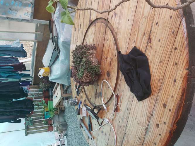Vendo parcela de 5.000 mtrs2 con casa en Lo Abarca - Imagen 14