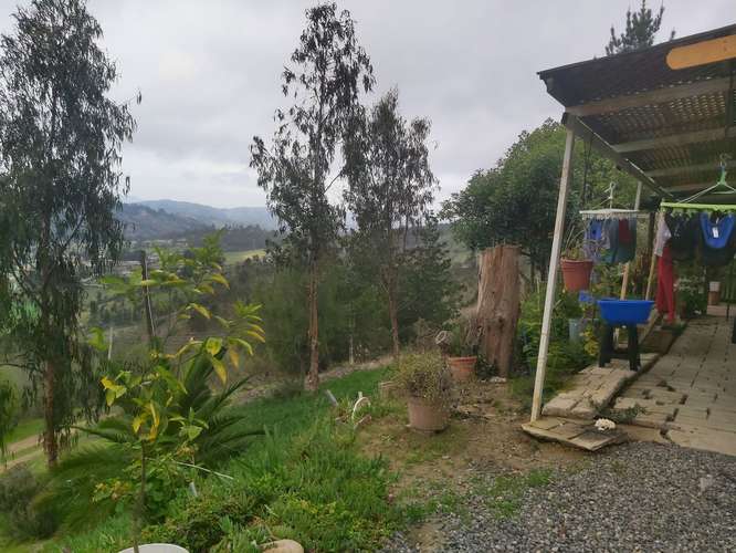 Vendo parcela de 5.000 mtrs2 con casa en Lo Abarca - Imagen 17